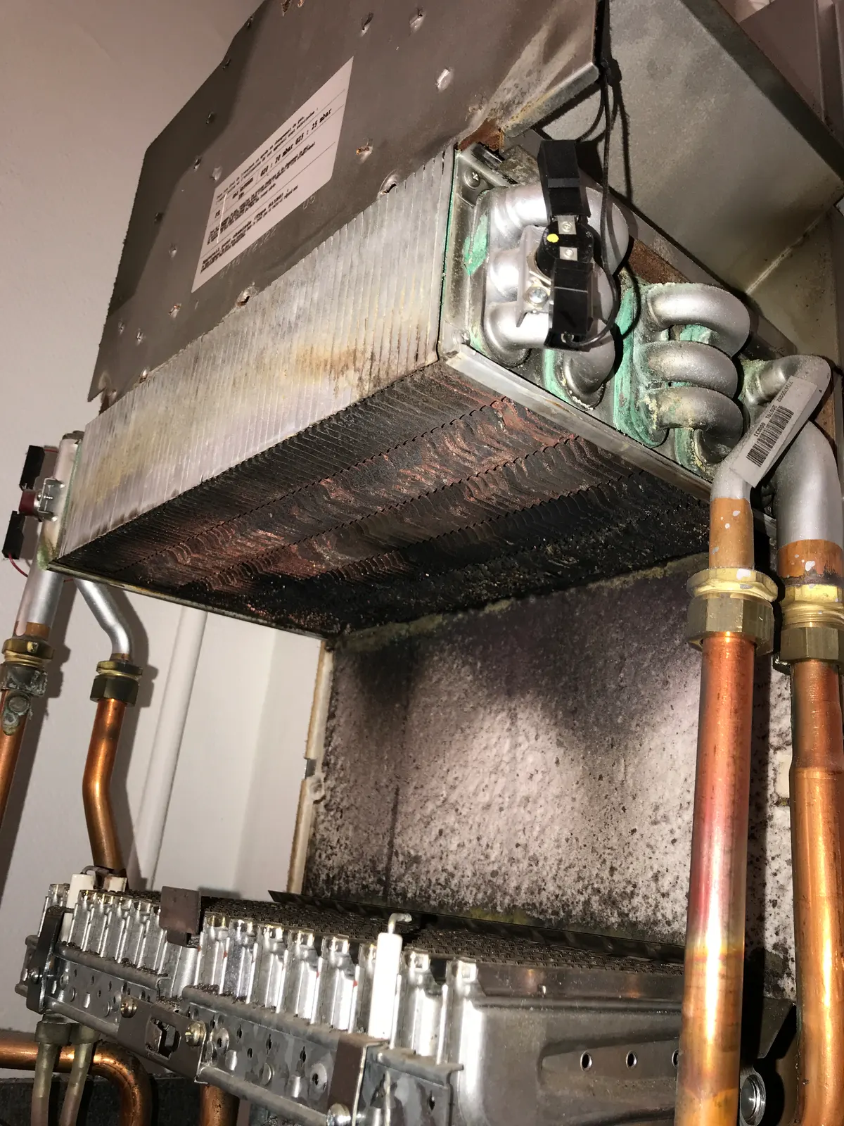 Échangeur et rampe de brûleur d'une chaudière gaz en entretien